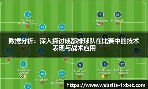 数据分析：深入探讨成都排球队在比赛中的技术表现与战术应用